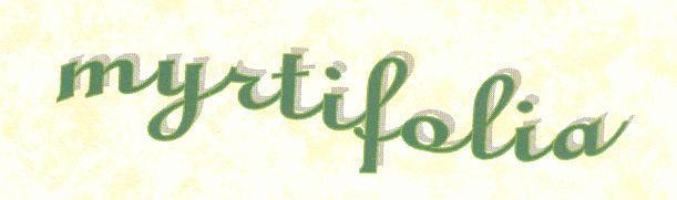 &nbsp myrtifolia &nbsp
