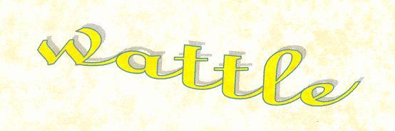 &nbsp wattle &nbsp
